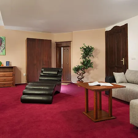 布里奥尼套房酒店 俄斯特拉发