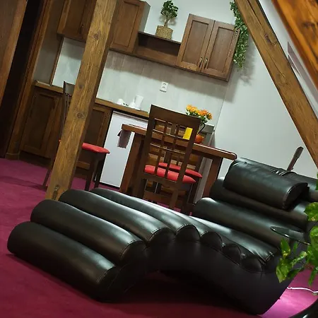 布里奥尼套房酒店 4* 俄斯特拉发